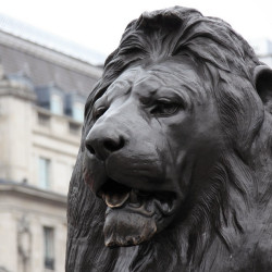 Central London Trafalgar Square is a must visit area for any tourists visiting London. There is a lot to see and do